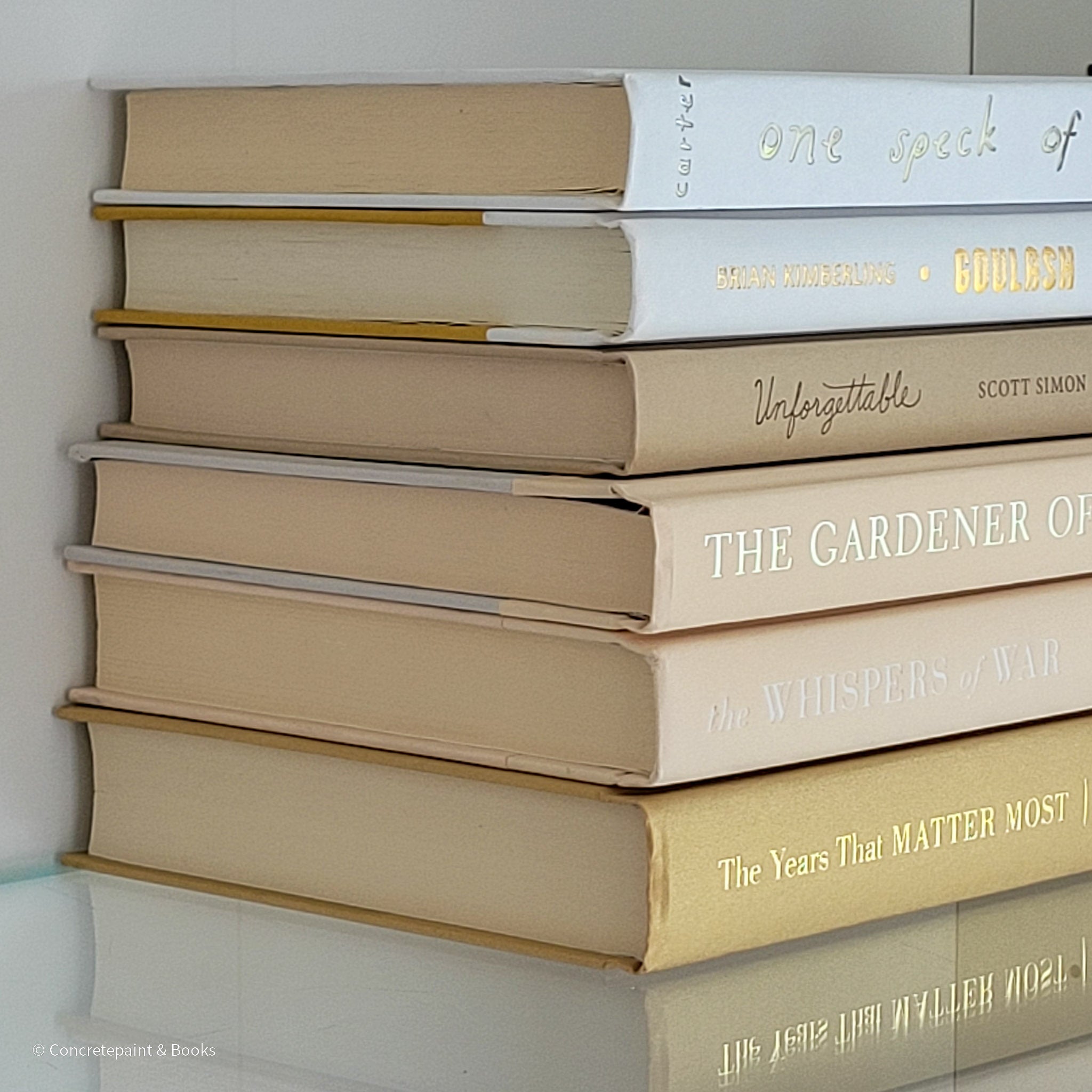 Neutral & Gold Book Bundle 6