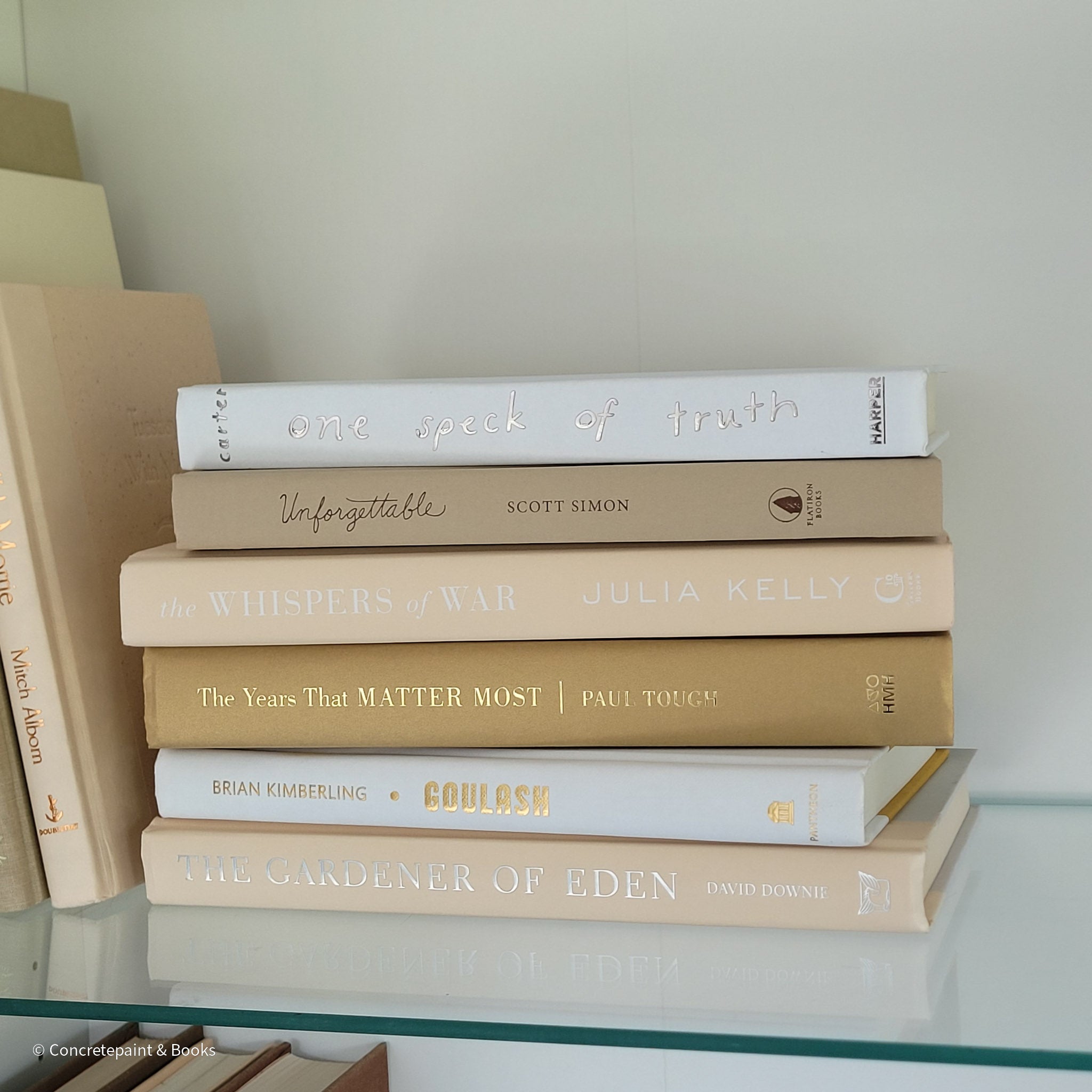 Neutral & Gold Book Bundle 6