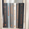 Gray and black books on diplay for mens home decor. 