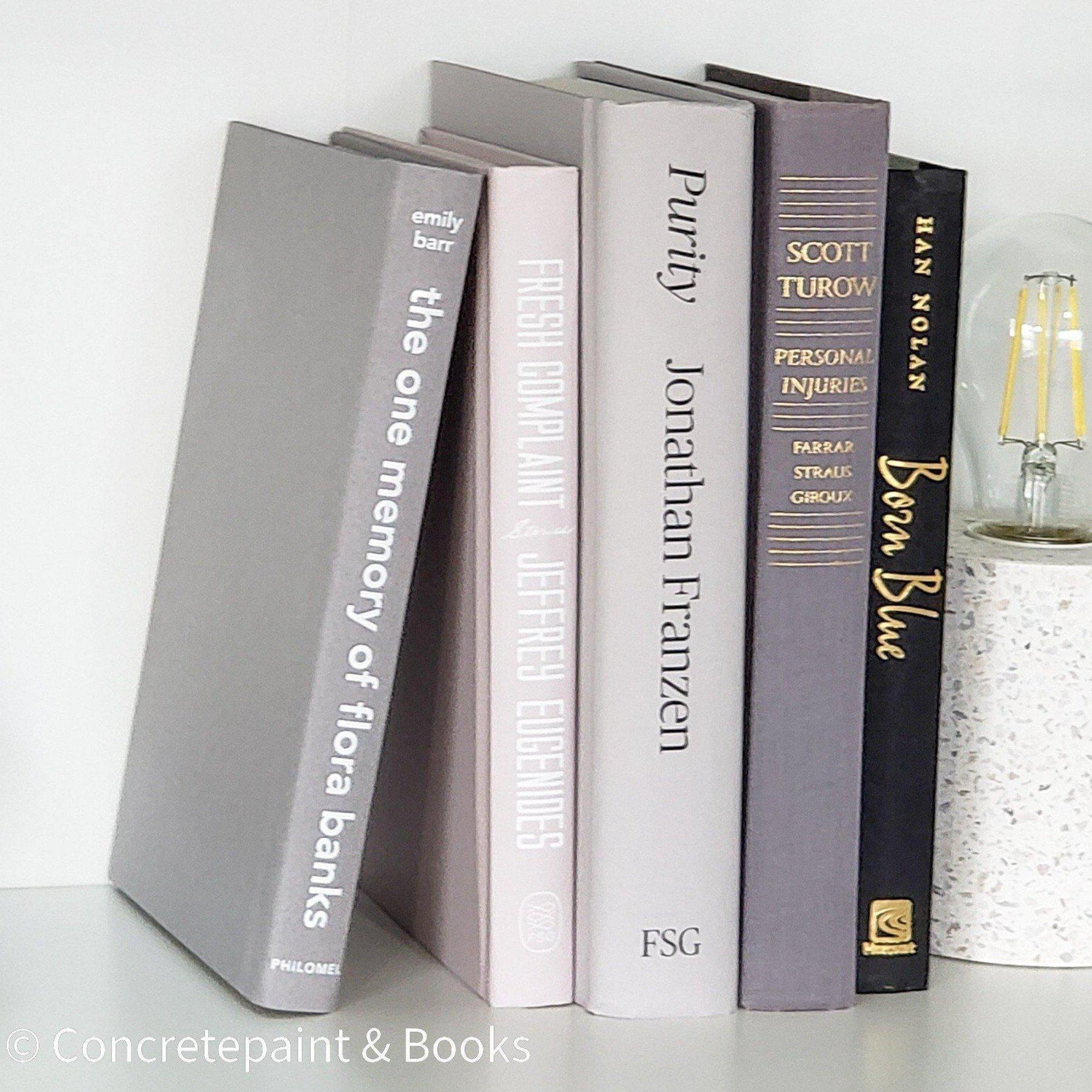Contemporary 5 - Concretepaint & Books