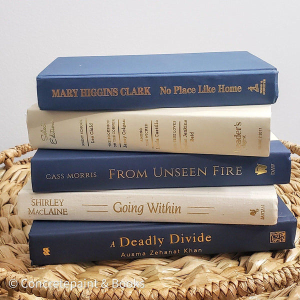 Nude & Blue Book Set 7 | Book Stack & Decorative Accents-Set of Decorative Books and Accents-[stack of real books for decorating]-[set of books with decorative accents]