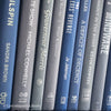 Is stack of hardcover books in blues and grays used as shelf décor