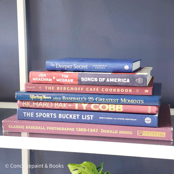 Stack of black rectangular coffee table books used as men's home décor. Aircraft, animals, and travel books on men's bookshelf.