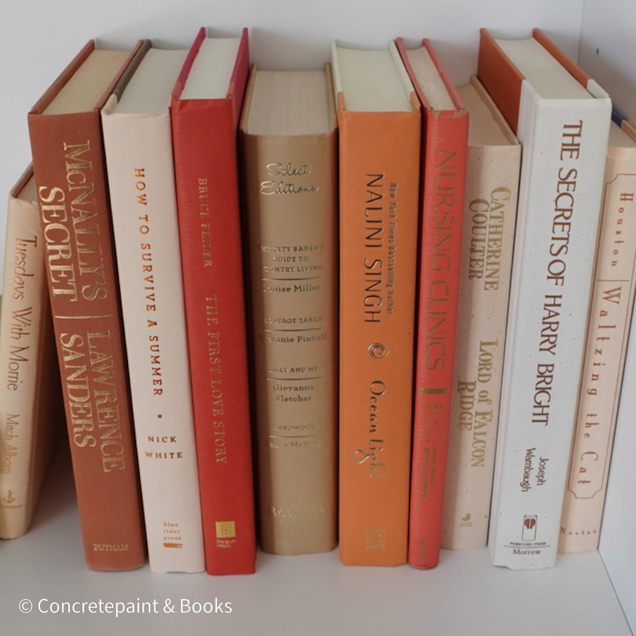 Books for display on shelf. Neutral and warm toned home decor. 