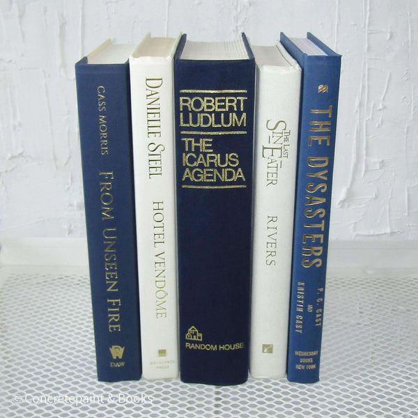 Classic Neutral Navy 5 | Set of Decorative Books